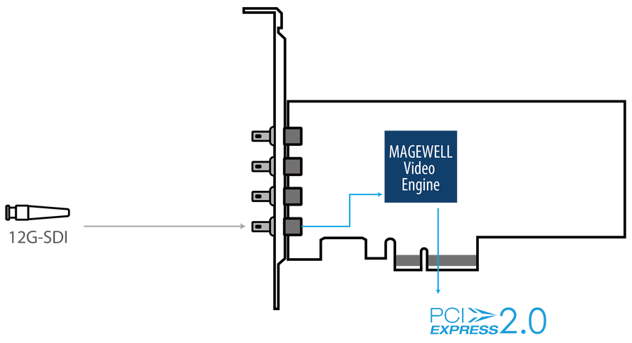 Интерфейсы Magewell Pro Capture SDI 4K Plus 12G-SDI