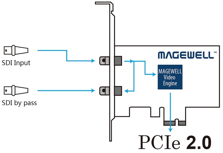 Интерфейсы Magewell Pro Capture SDI