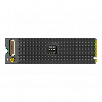 Плата видеозахвата Magewell Eco Capture AIO M.2 (11600): купить в Москве