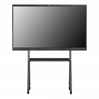 Интерактивная панель Prestel TSP-4K864: купить в Москве