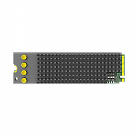 Плата видеозахвата Magewell Eco Capture QL-SDI 4K M.2: купить в Москве