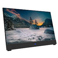 Персональный монитор 21.5", FullHD, 350 кд/м2, HDMI, USB Type-C, GeChic On-Lap 2101H: купить в Москве