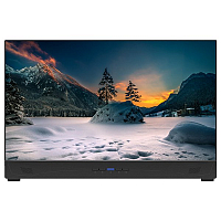 Персональный монитор 21.5", FullHD, 350 кд/м2, HDMI, USB Type-C, GeChic On-Lap 2101H: купить в Москве