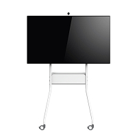 Интерактивная панель 55" Prestel TSP-4K553T: купить в Москве