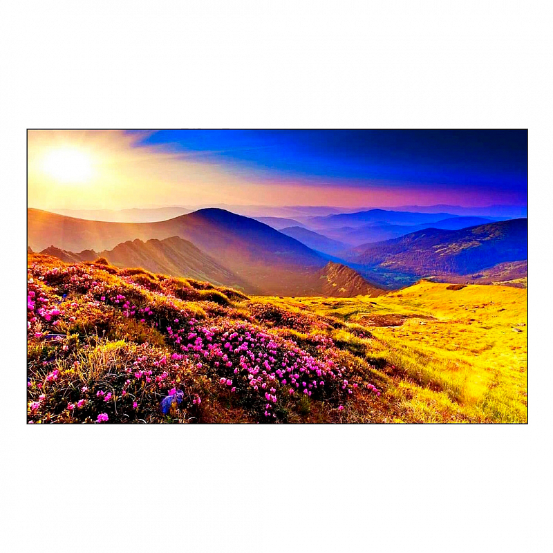 ЖК панель для видеостен 55" Prestel VWP-5517HB: купить в Москве